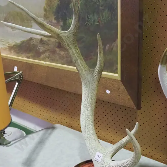 antlers on Masport push mower stand