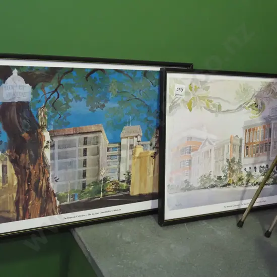 2x poster prints - Auckland and Dunedin Medical Schools