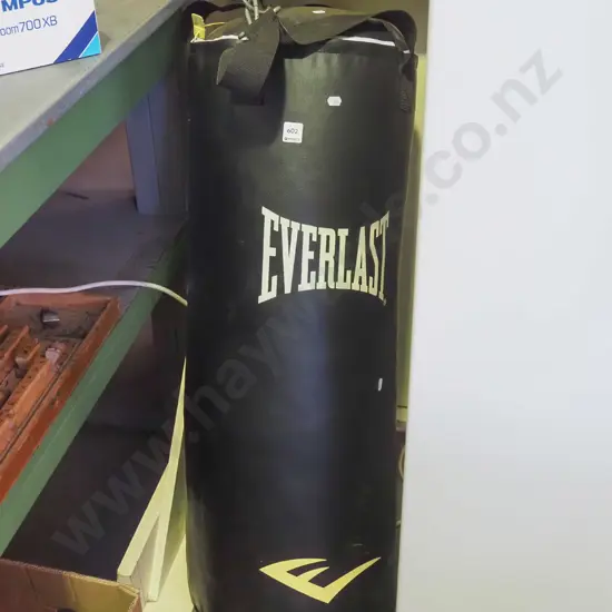 Everlast punching bag