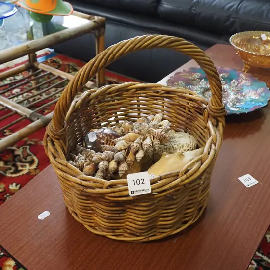 cane basket and seashell contents