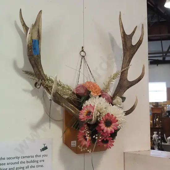 deer antlers and faux flowers