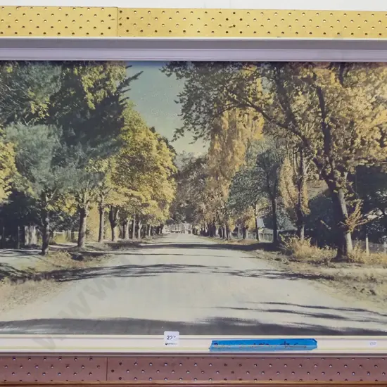 framed Whites Aviation hand coloured photograph - Arrowtown - fading and extensive marks