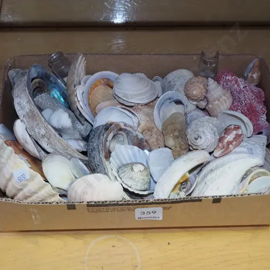 box of seashells