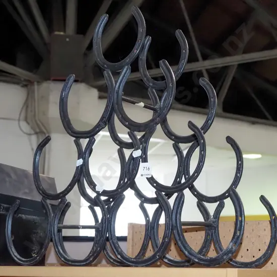 horse shoe wine rack