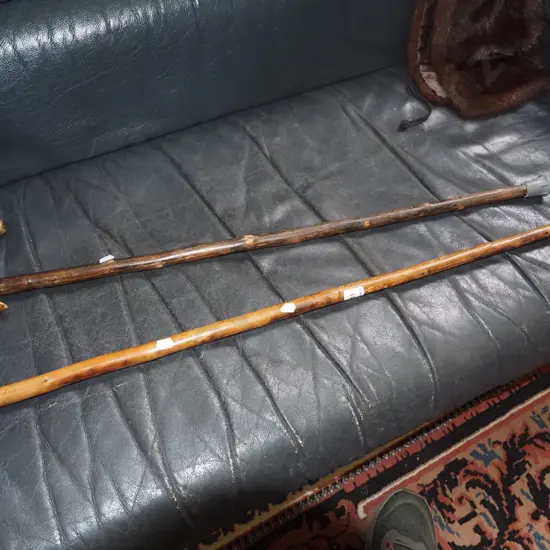 2x walking sticks