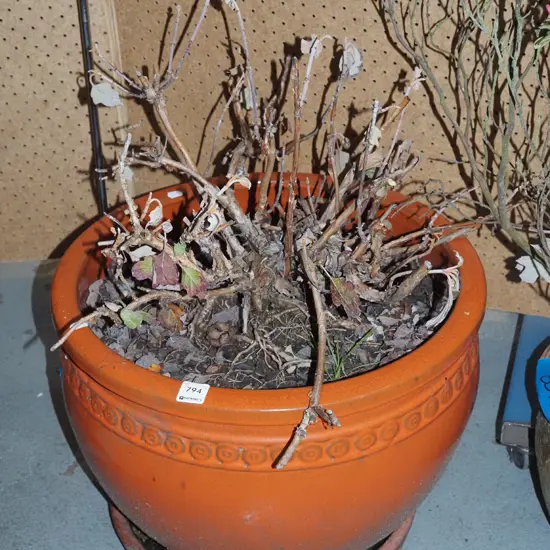 orange glazed garden planter with grapevine? H-340