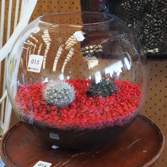glass bowl/vase with red stones and cacti