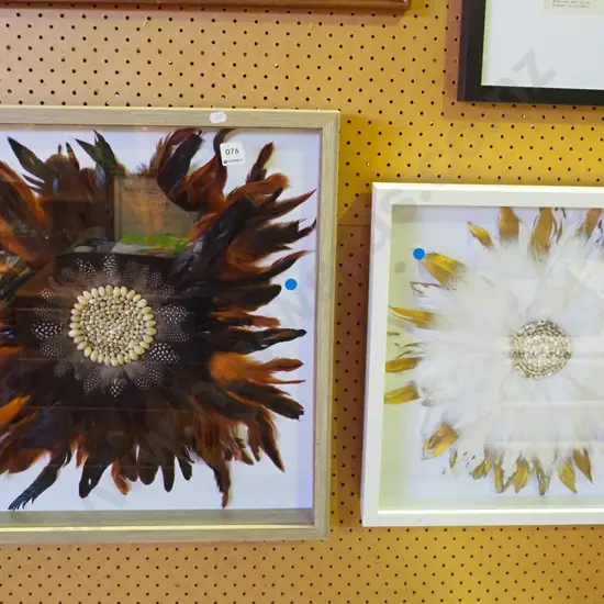 2x framed seashell and feather artworks - blue dots