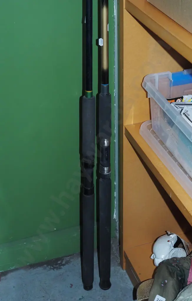 2x fishing rods - no reels Image 1++