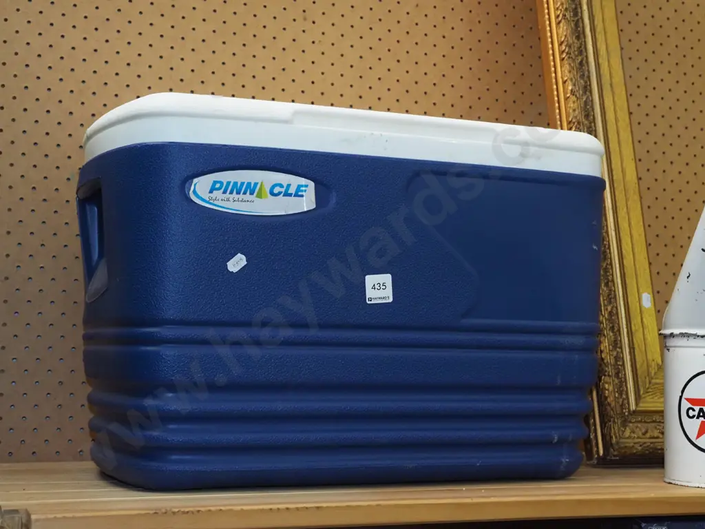 Pinnacle chilly bin Image 1++