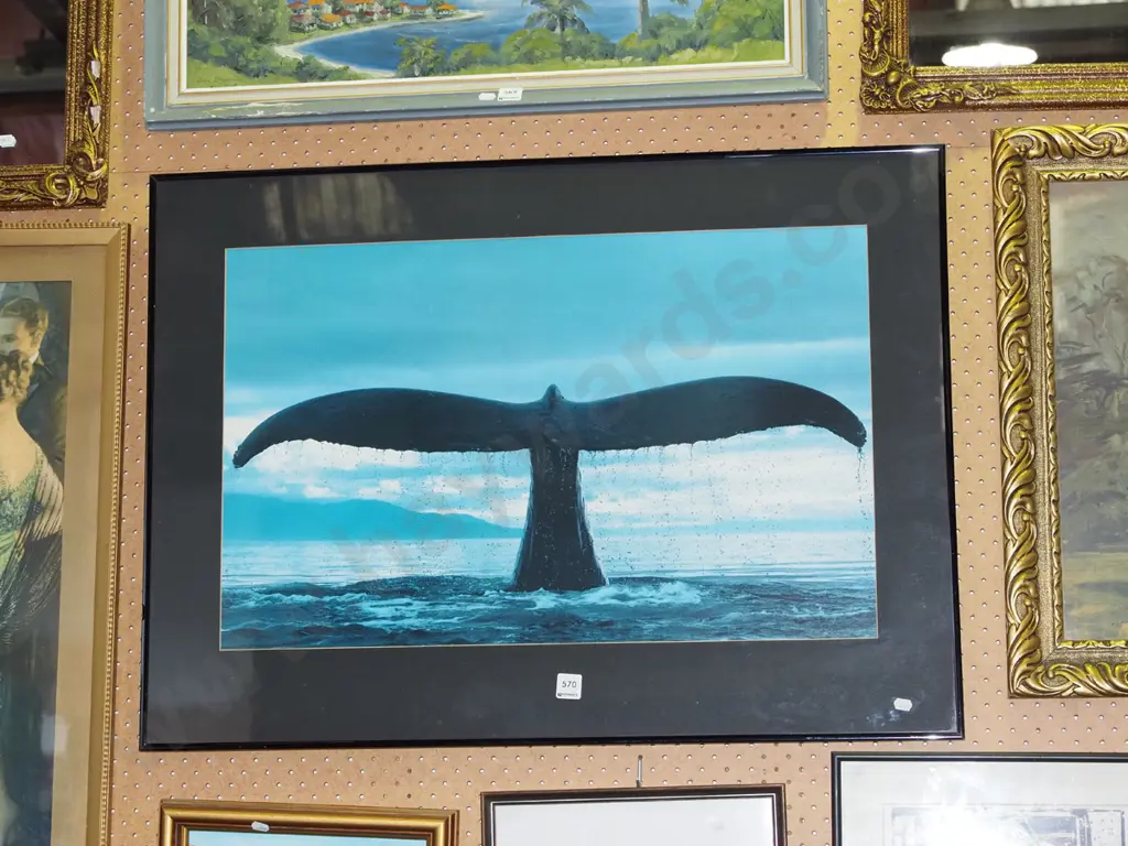 framed photographic print- whale's tail Image 1++