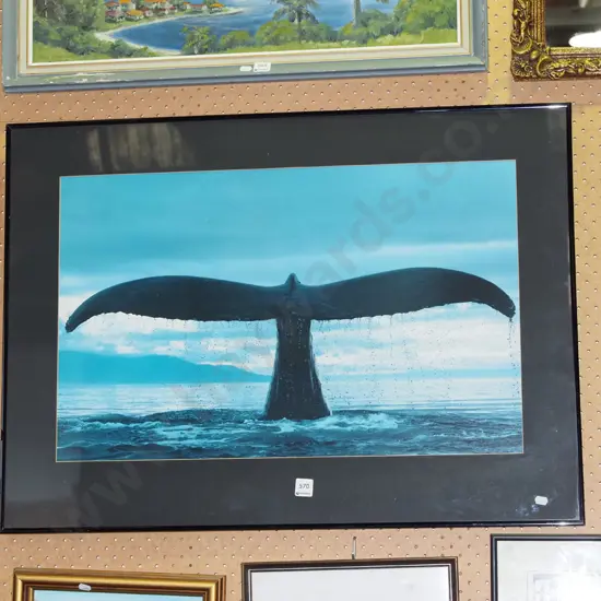 framed photographic print- whale's tail