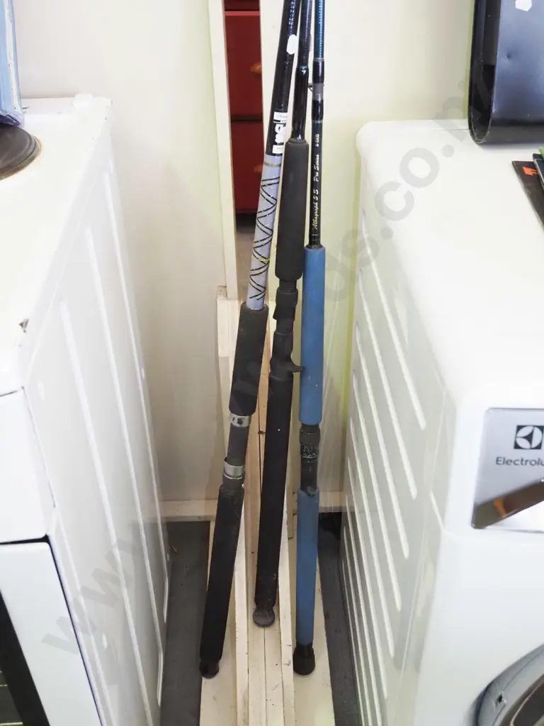 3x fishing rods Image 1++