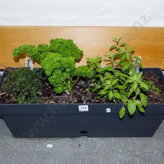 trough of herbs - lemon balm, marjoram, thyme