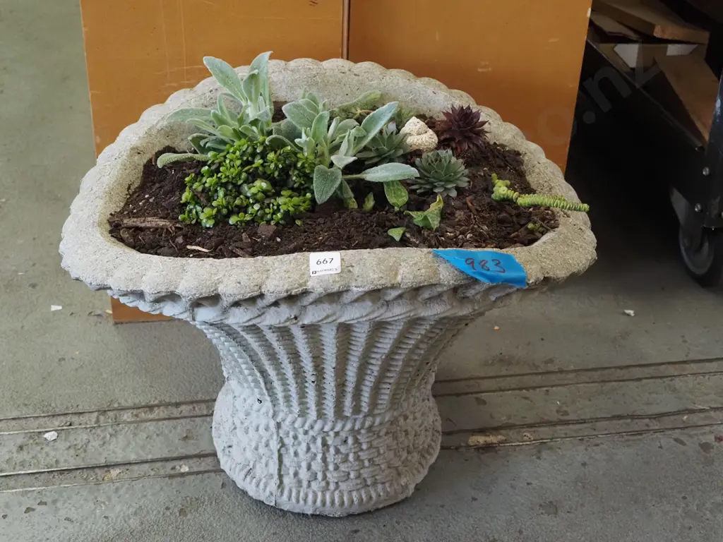concrete planter basket and succulents etc H370 Image 1++