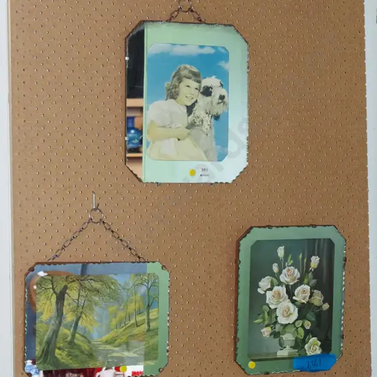 3x mirror framed prints - flowers, country lane, girl and dog - yellow dots