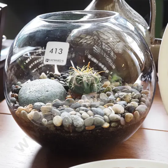 terrarium with cacti