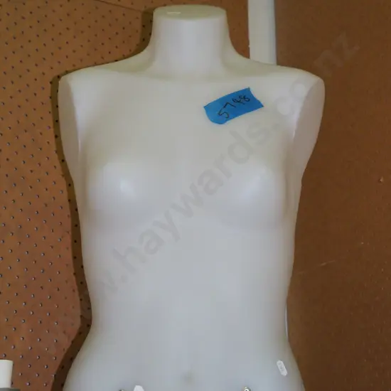 clear plastic female shop mannequin torso