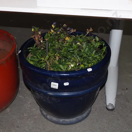 large blue glazed planter and plants H-330