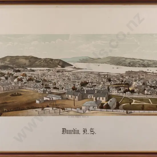 framed vintage historic Dunedin print H160 W370