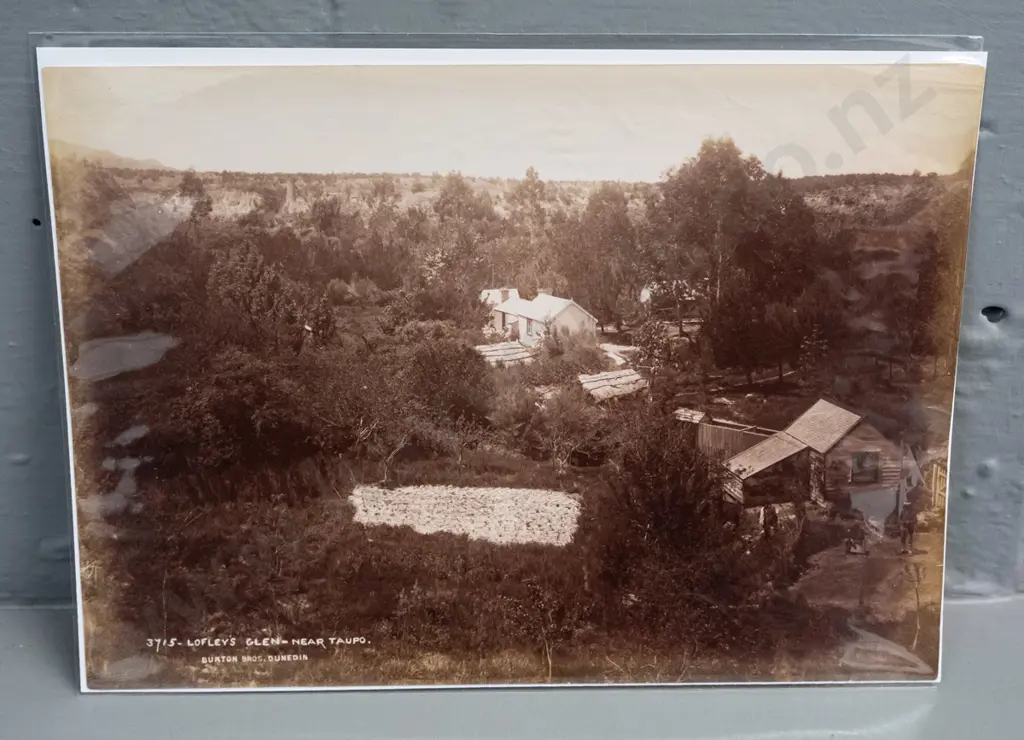 5 small vintage Burton Brothers photographs - Tongariro craters, Lake Tarawera, Taupo etc. H-145 W-195 Image 1++