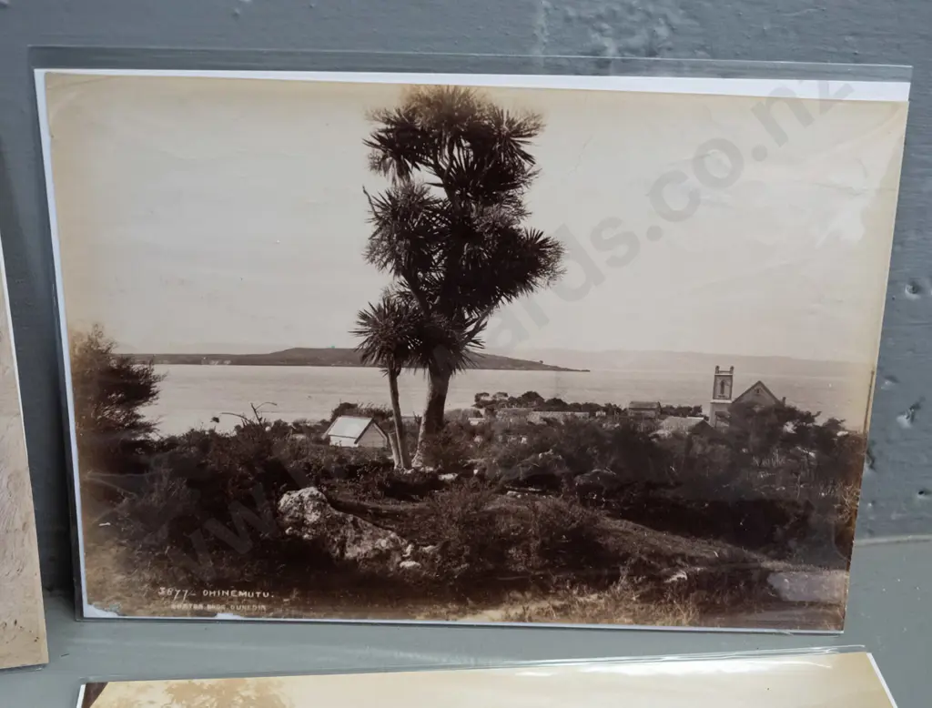 5 small vintage Burton Brothers photographs - Tongariro craters, Lake Tarawera, Taupo etc. H-145 W-195 Image 1++