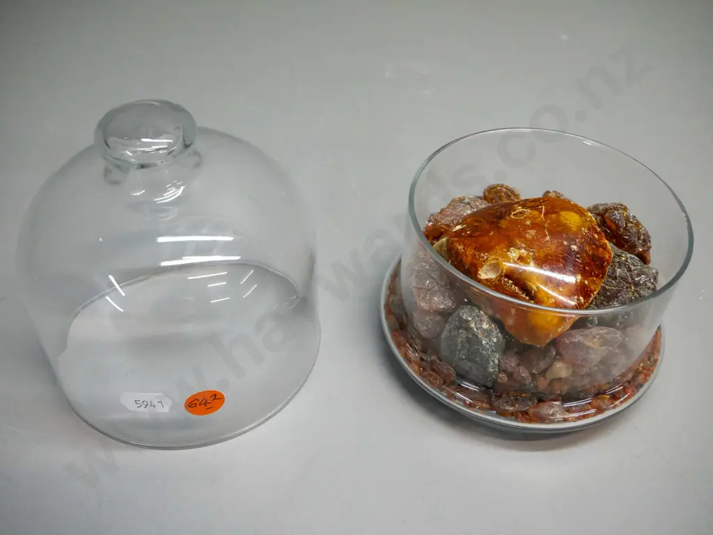 Glass domed canister with various sized pieces of Kauri gum, H-140mm Image 1++