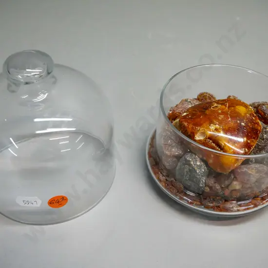 Glass domed canister with various sized pieces of Kauri gum, H-140mm