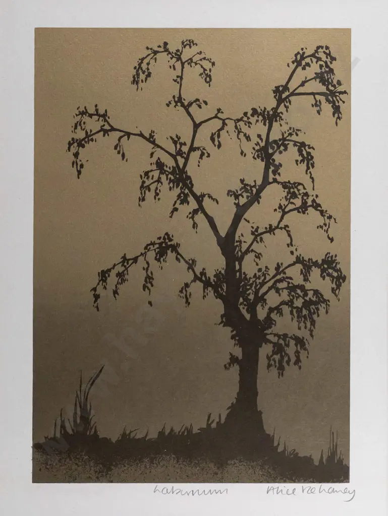 Alice Delaney - framed print "Laburnum" H280 W200 Image 1++