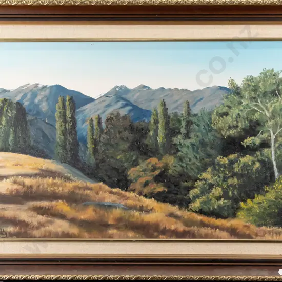 RK Keelty 1984 - framed oil on board "A Wooded Slope Lake Hayes District" H300 W500