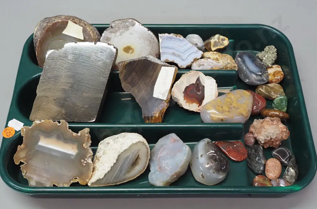 plastic tray of stone and mineral samples - petrified wood, agates, polished stone pieces, etc. - largest item 100x80 Image 1++