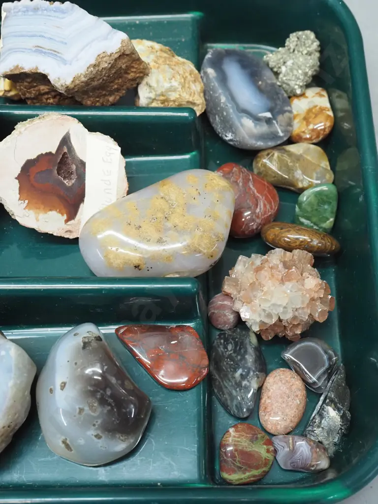 plastic tray of stone and mineral samples - petrified wood, agates, polished stone pieces, etc. - largest item 100x80 Image 1++