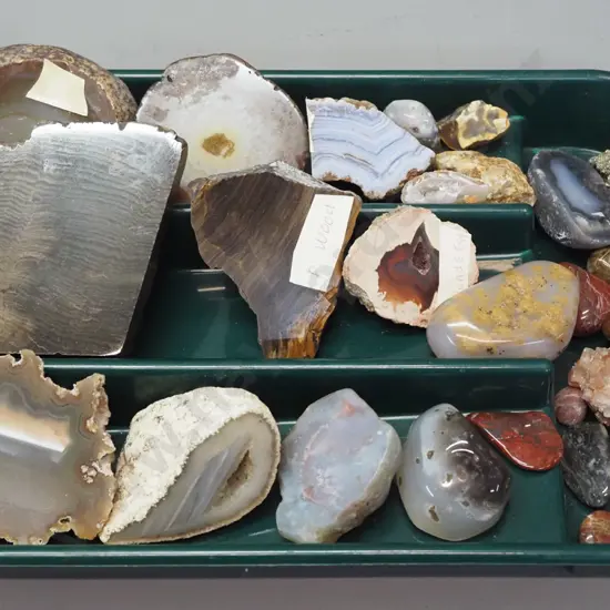 plastic tray of stone and mineral samples - petrified wood, agates, polished stone pieces, etc. - largest item 100x80