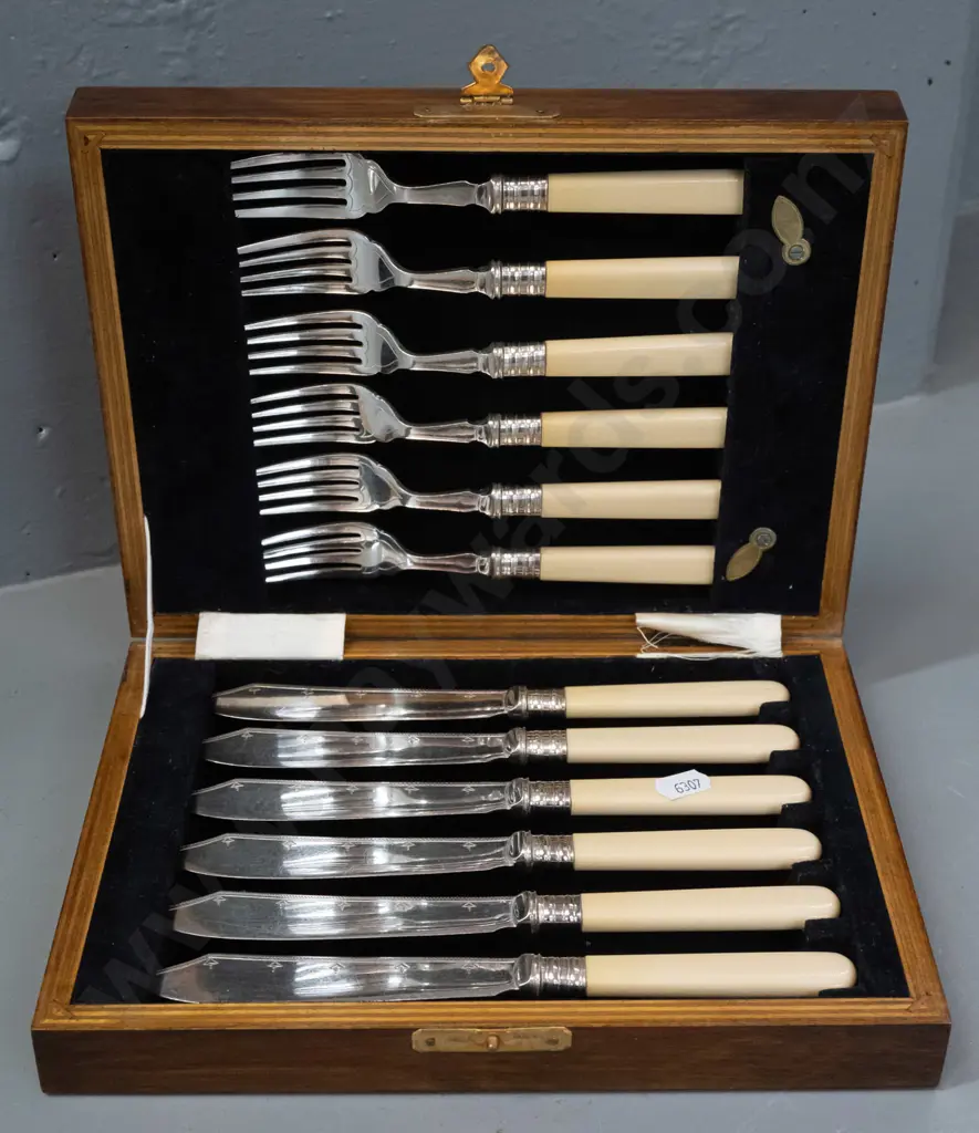 timber cased set of bone-handled fish knives and forks - minor wear/scratching H-0 D-240 W-180 Image 1++