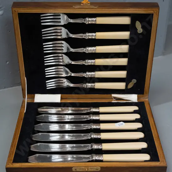 timber cased set of bone-handled fish knives and forks - minor wear/scratching H-0 D-240 W-180