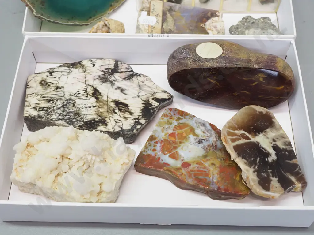 assorted stone and mineral samples - agates, polished stone pieces etc., larger green polished slice is 165x140 Image 1++