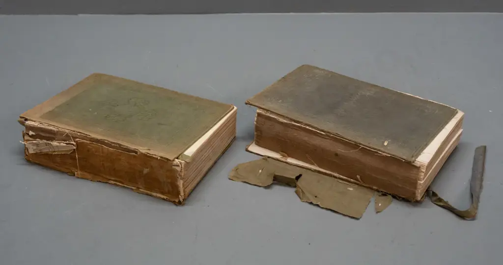 2 antique Charles Dickens novels in poor condition - Pickwick Papers (1845) & Nicholas Nickleby (1850) Chapman & Hall Image 1++