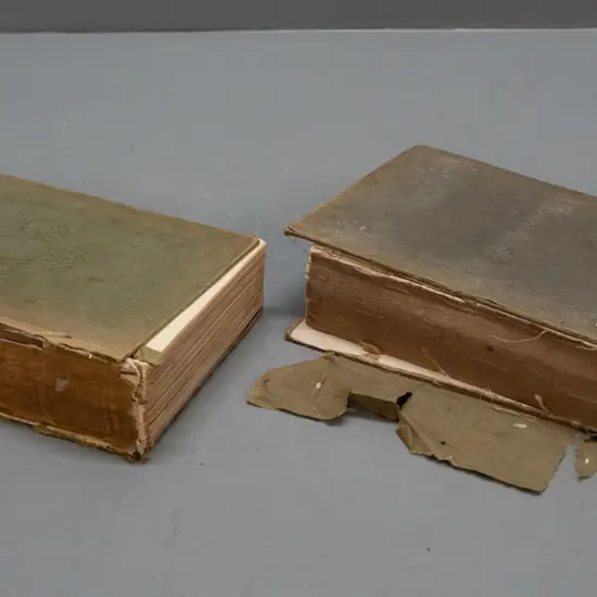 2 antique Charles Dickens novels in poor condition - Pickwick Papers (1845) & Nicholas Nickleby (1850) Chapman & Hall