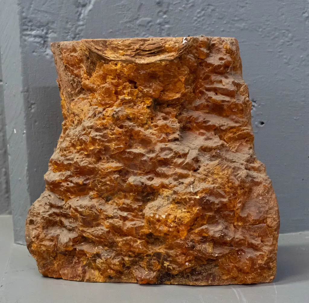 piece of kauri timber encrusted with kauri gum L-240 W-240 D-80 Image 1++