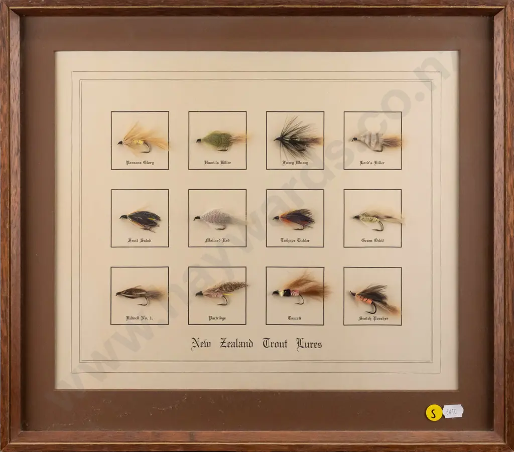 framed vintage New Zealand trout lures H240 W300 Image 1++