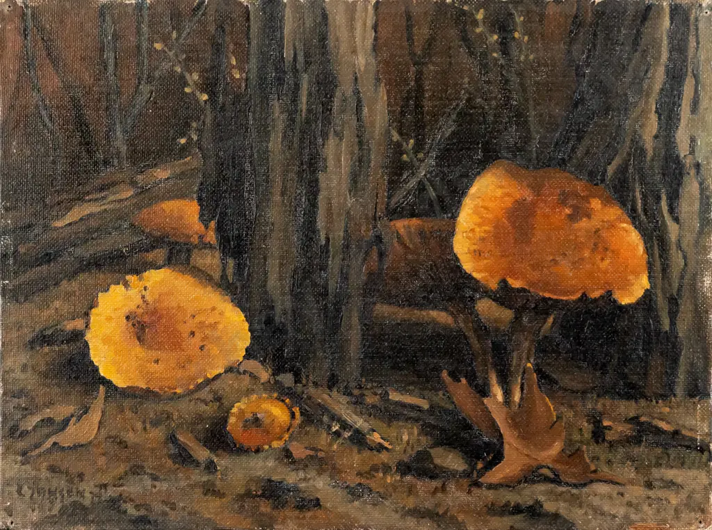 C Jansen '74 - unframed oil on card -Fungi  H230 W300 Image 1++