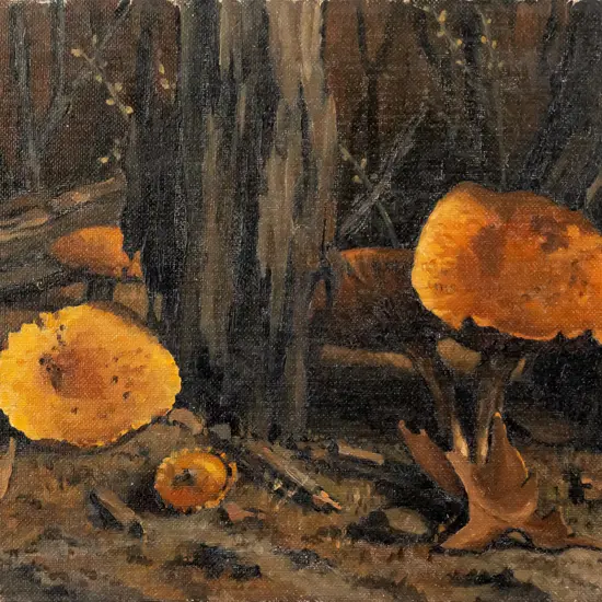 C Jansen '74 - unframed oil on card -Fungi  H230 W300