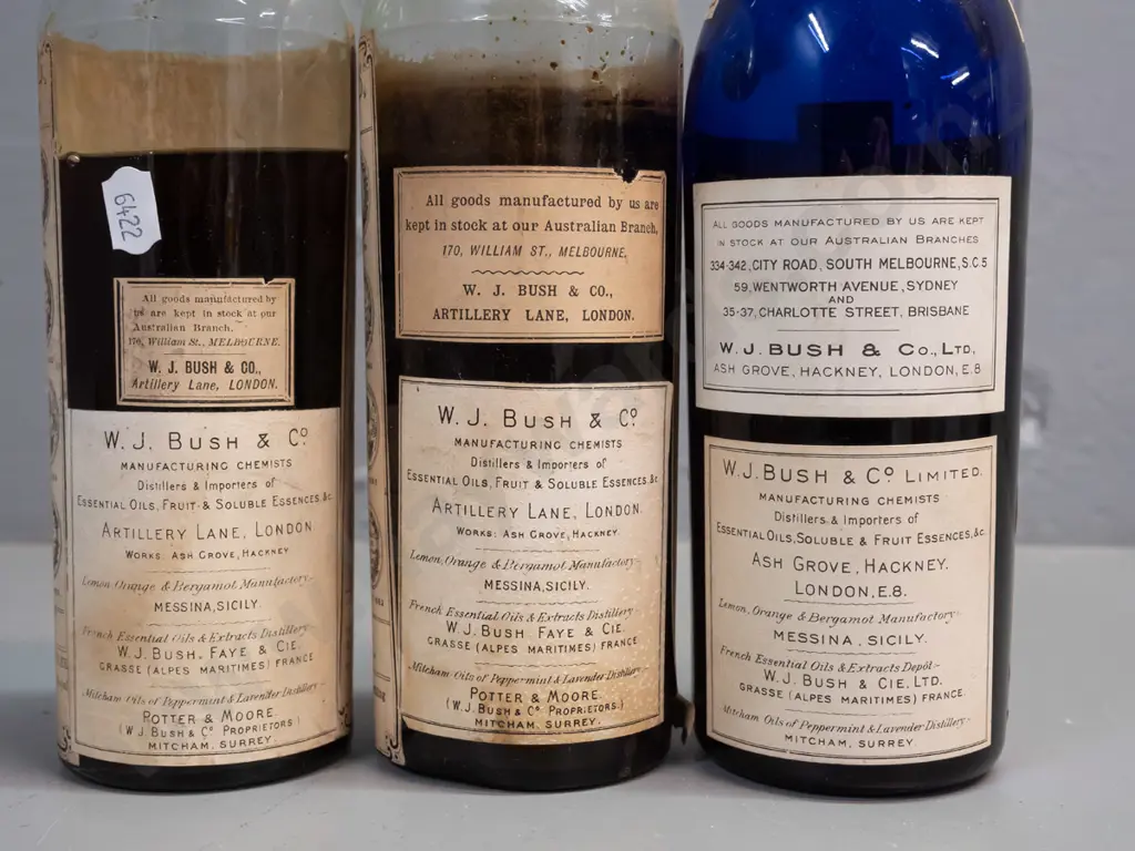 3 vintage glass bottles with labels and contents & WJ Bush & Co labels, one blue & 2 clear, metal cap seals H-250 Image 1++