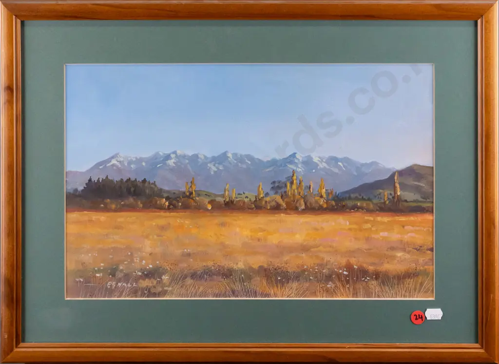 PG Hall - framed watercolour - landscape H240 W380 Image 1++