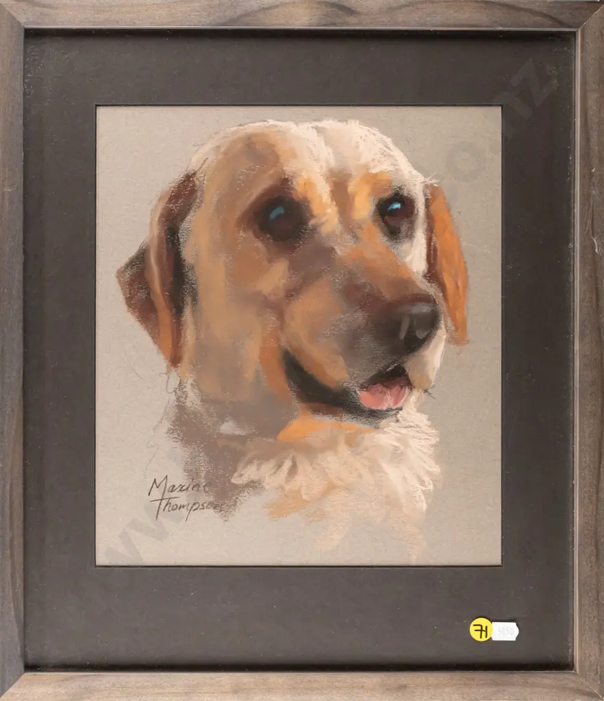 Maxine Thompson - framed pastel - Labrador  H280 W250 Image 1++