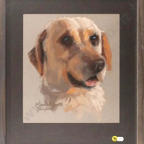 Maxine Thompson - framed pastel - Labrador  H280 W250