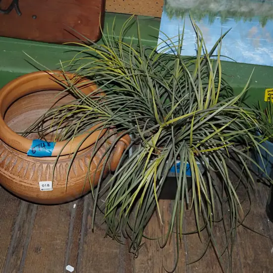 terracotta double handled jardiniere, plastic plant