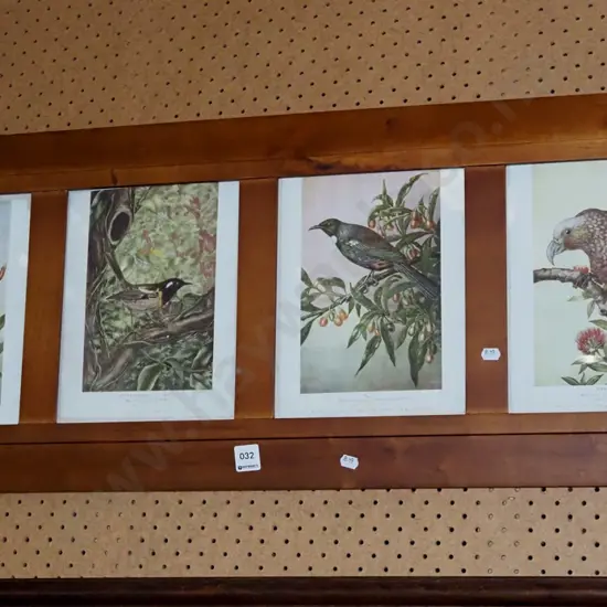 4x New Zealand bird prints in pine frame