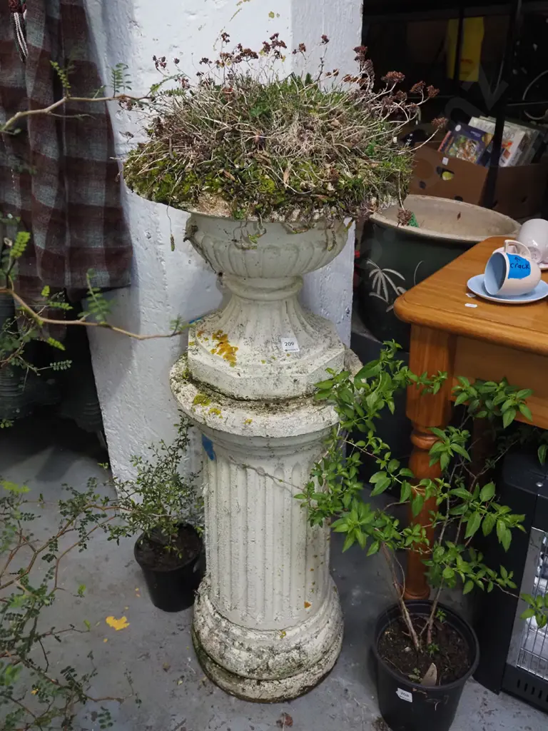 concrete garden urn on plinth with unknown plants Overall H-1100 Image 1++