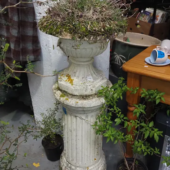 concrete garden urn on plinth with unknown plants Overall H-1100
